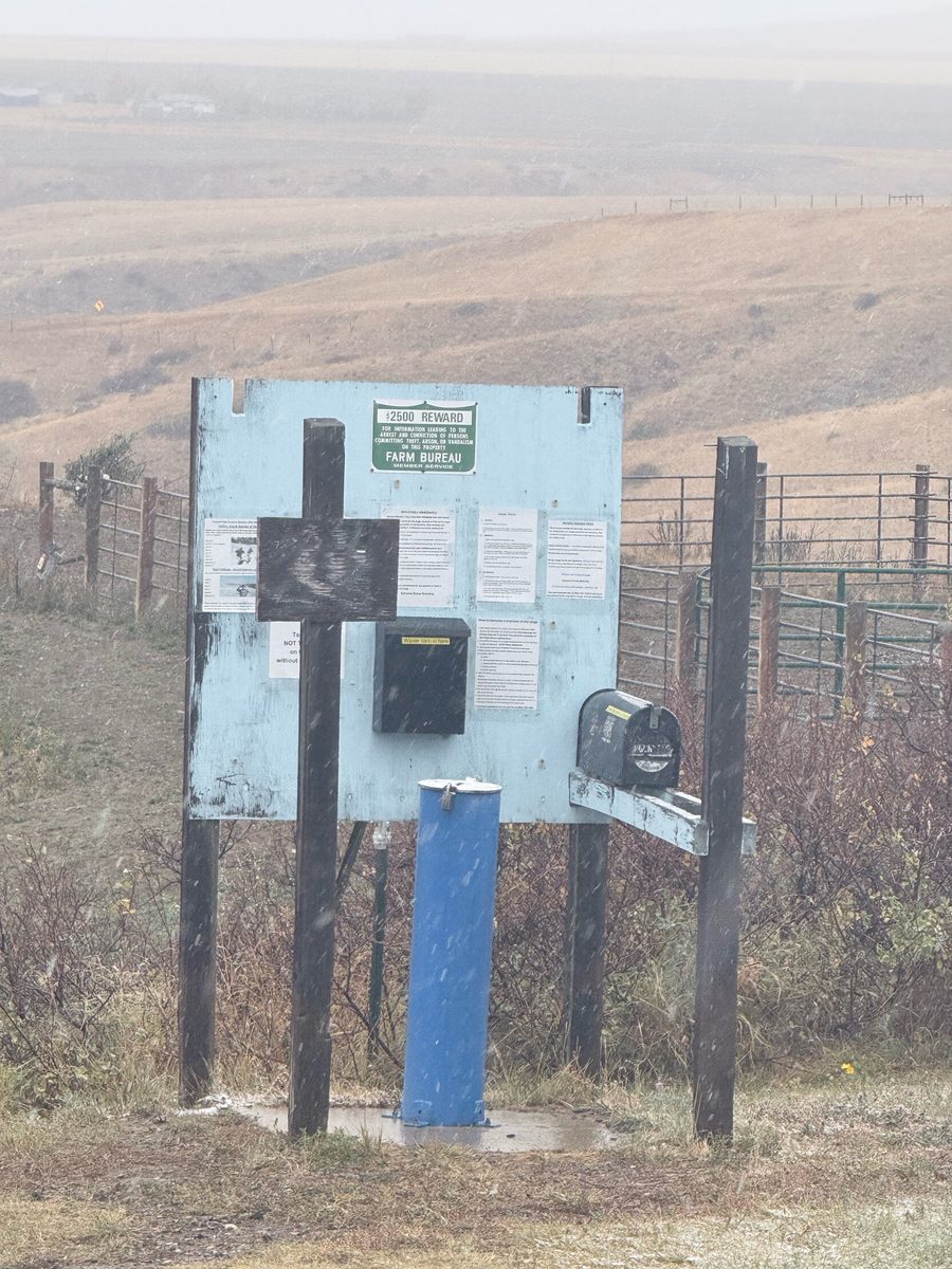 The ESS sign-in checkpoint beside the dirt road: a light-blue sign board with notices and a black drop box, a mailbox, and a blue post
